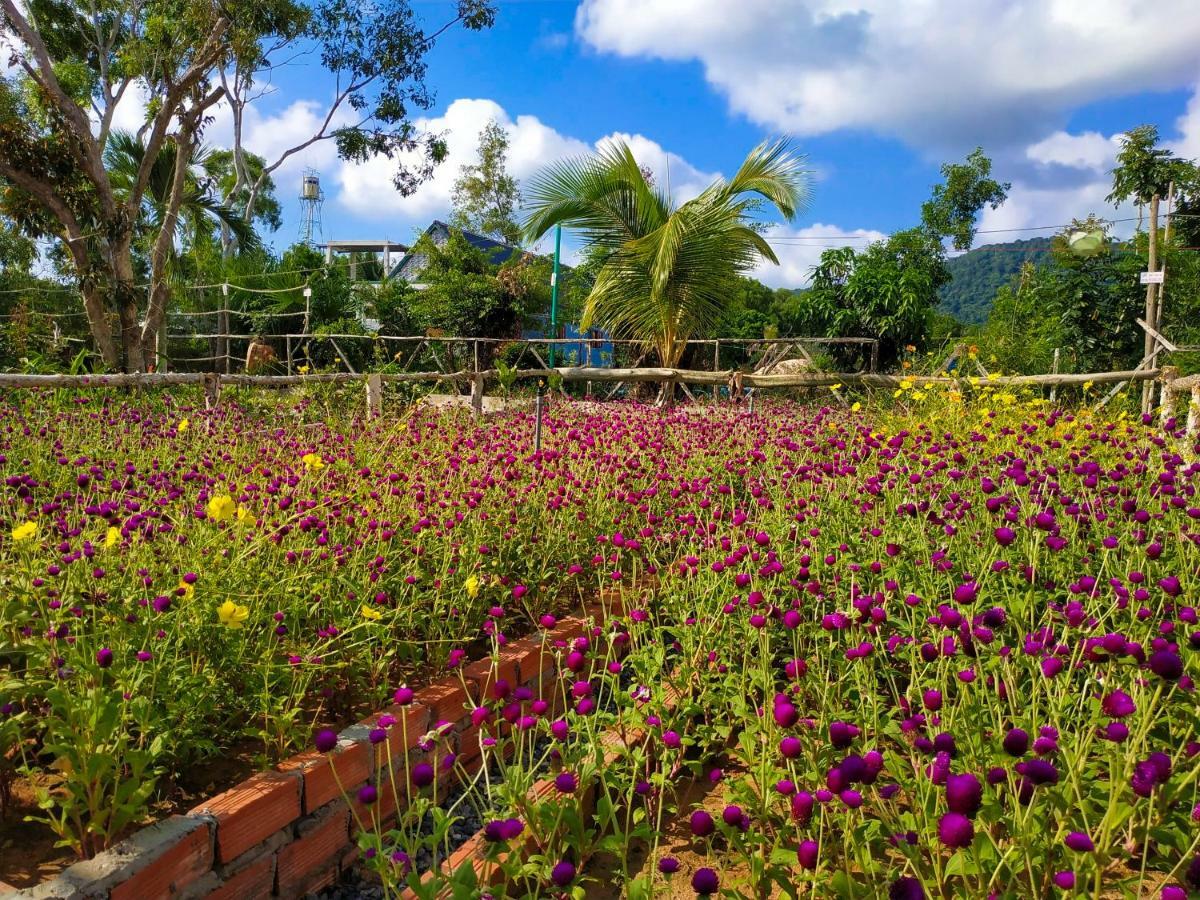 Bungalows Bai Vong Phu Quoc Luaran gambar
